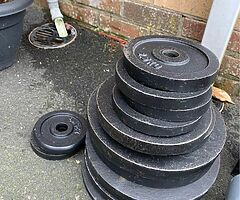 Gym Weight’s 1” - Image 3/3