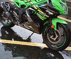 2019 Kawasaki Ninja