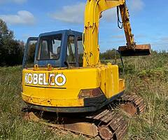 DIGGERS DEAD OR ALIVE