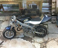 2021 AJS Regal-Raptor Dd125E