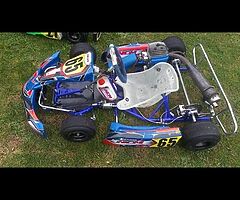 Karts - Image 6/8