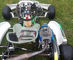 Karts - Image 7/8