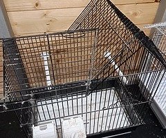 SHED CLEARANCE - Image 9/10