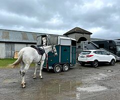 2014 Hyundai and Horsebox for sale ix35, Ifor Williams 505 - Image 3/8