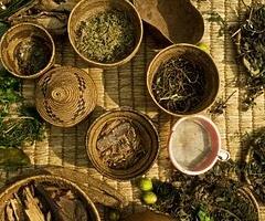 The - Image 3/3