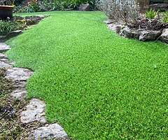 Grass - Image 7/10