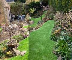 Grass - Image 9/10