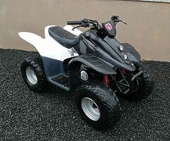 2017 Quadzilla 100cc