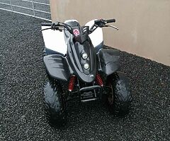 2017 Quadzilla 100cc