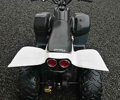 2017 Quadzilla 100cc - Image 3/5