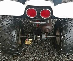 2017 Quadzilla 100cc - Image 4/5