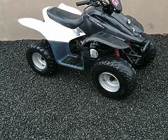 2017 Quadzilla 100cc - Image 5/5