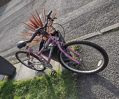 26" wheel ladies bike