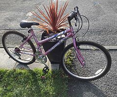 26" wheel ladies bike