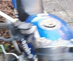 2007 Lexmoto Arrow 125 - Image 5/10