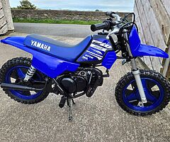 Yamaha PW50