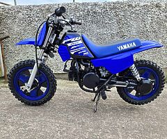 Yamaha PW50