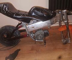 2022 A.P.C Motor Company Wild card