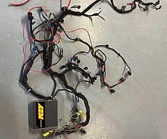 Aem 1jz ecu and loom.