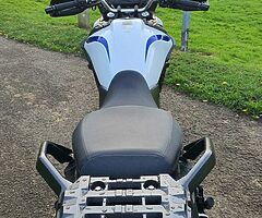 2020 Suzuki DL - Image 7/10