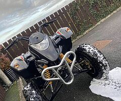 2021 Quadzilla Stinger - Image 4/4