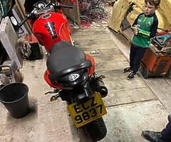 2000 Suzuki SV650 - Image 3/10