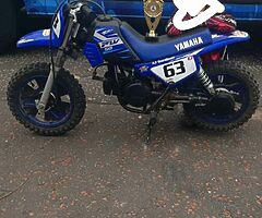 2017 Yamaha  Pw 50
