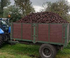 TRAILER LOAD OF TURF FOR SALE LARGER LOAD AND SMALL 