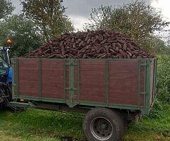 TRAILER LOAD OF TURF FOR SALE LARGER LOAD AND SMALL  - Image 3/5