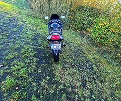 Zzr600 - Image 7/10