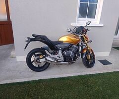 Honda Hornet / CB600 FA-8