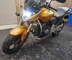 Honda Hornet / CB600 FA-8 - Image 6/7