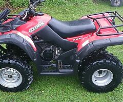 Suzuki Ozark 250 - Image 8/8