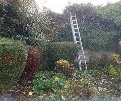 Autumn clean up