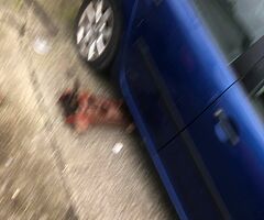 Mk5 golf - Image 4/7