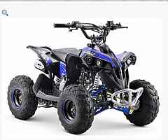 2022 RENEGADE QUAD BIKE (Brand new) RENEGADE KIDS QUAD BIKE 100cc