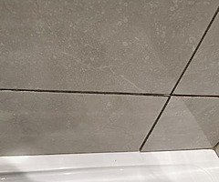 Tiler available - Image 4/7