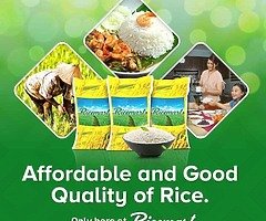 rice business - Image 4/10