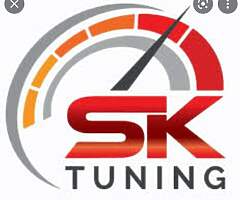 Sk coding/remapping