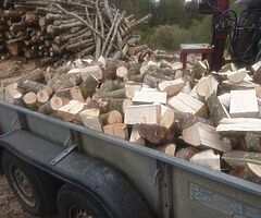 Hardwood timber for sale - Image 5/10