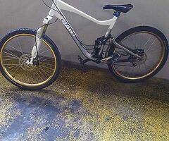 Custom off road mountain bike