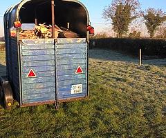 Rice Trailer. - Image 6/6