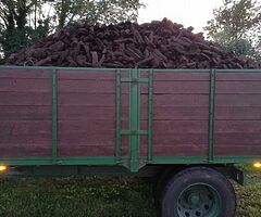 TRAILER LOAD OF TURF LARGE AND SMALL LOAD FOR SALE GOOD QUALITY TURF