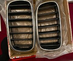 Bmw kidney Grill bmw X5 f15