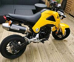 2013 Honda Grom