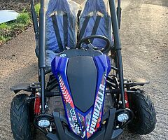 2021 Quadzilla 150cc