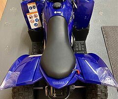 2021 Yamaha  YFZ 50 Quad - Image 5/6