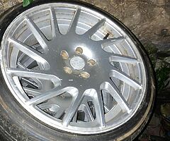 Vossen - Image 5/5