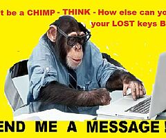 LOST  KEYS  BACK - Image 3/4