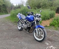 Honda hornet 600
